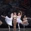 Bethany Kingsley-Garner, Andrew Peasgood and Constance Devernay in 'Le Baiser de la Fée'