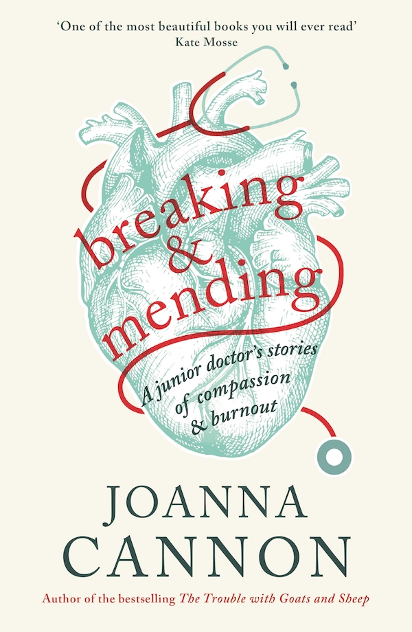 Joanna Cannon, Breaking and Mending book jacket