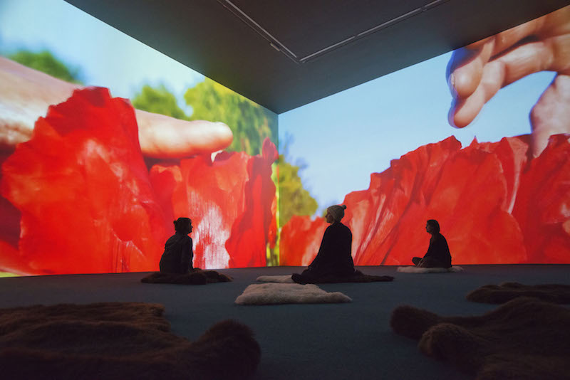 Installation view, Pipilotti Rist's 'Stay Stamina Stay’, Hauser & Wirth Somerset