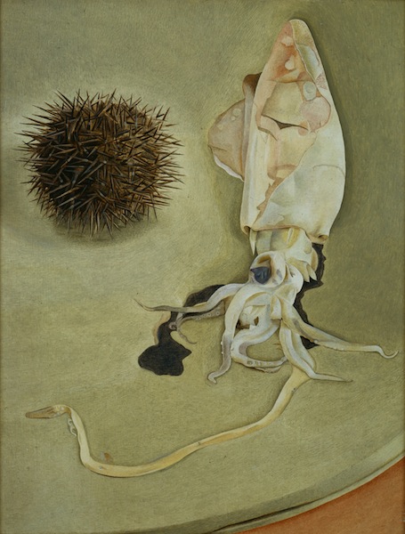 Lucian Freud, Still Life with Squid and Sea Urchin, 1949