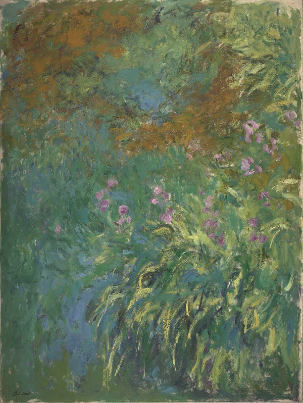 Claude Monet, Irises by the Pond, 1914-17,  Oil on canvas,  Virginia Museum of Fine Arts, Richmond. Adolph D. and Wilkins C. Williams Fund, inv. 71.8  Photo © Virginia Museum of Fine Arts. Photo: Katherine Wetzel