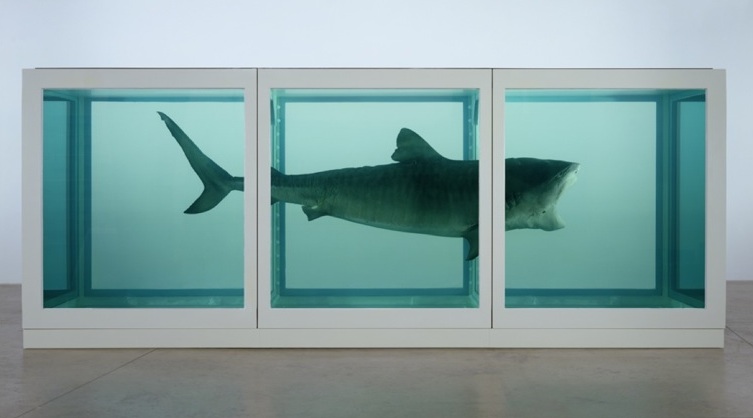 damien hirst shark