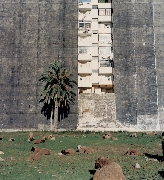 Yto Barrada Terrain Vague - Tanger (Vacant Lot - Tangier), 2001