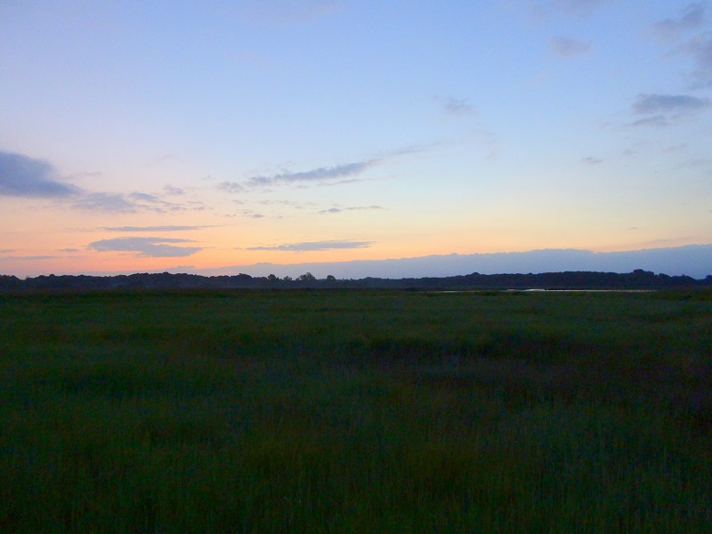 Snape marshes at 3.30am