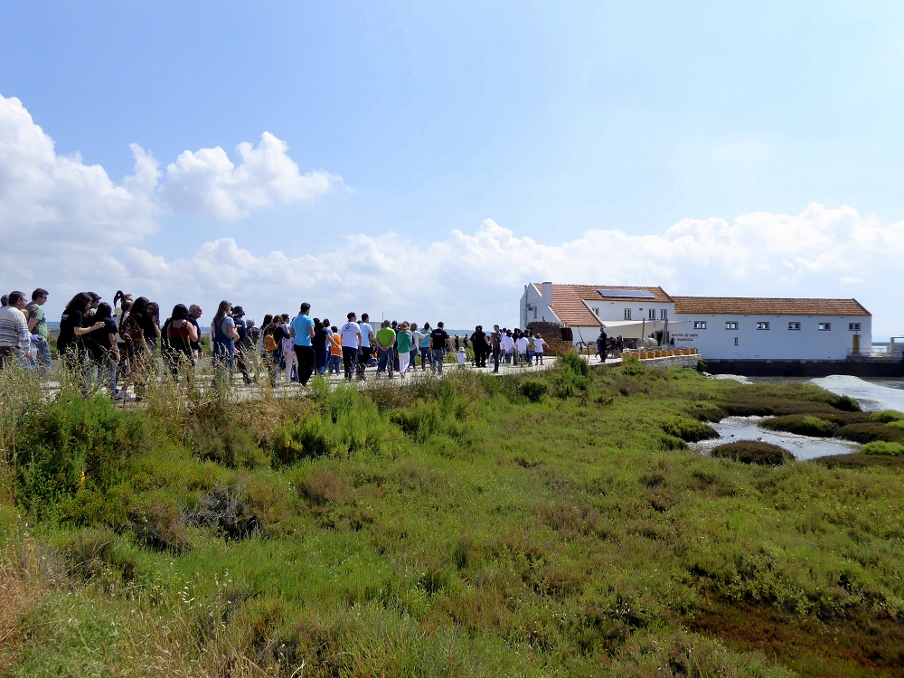 Tide Mill at Mourisco