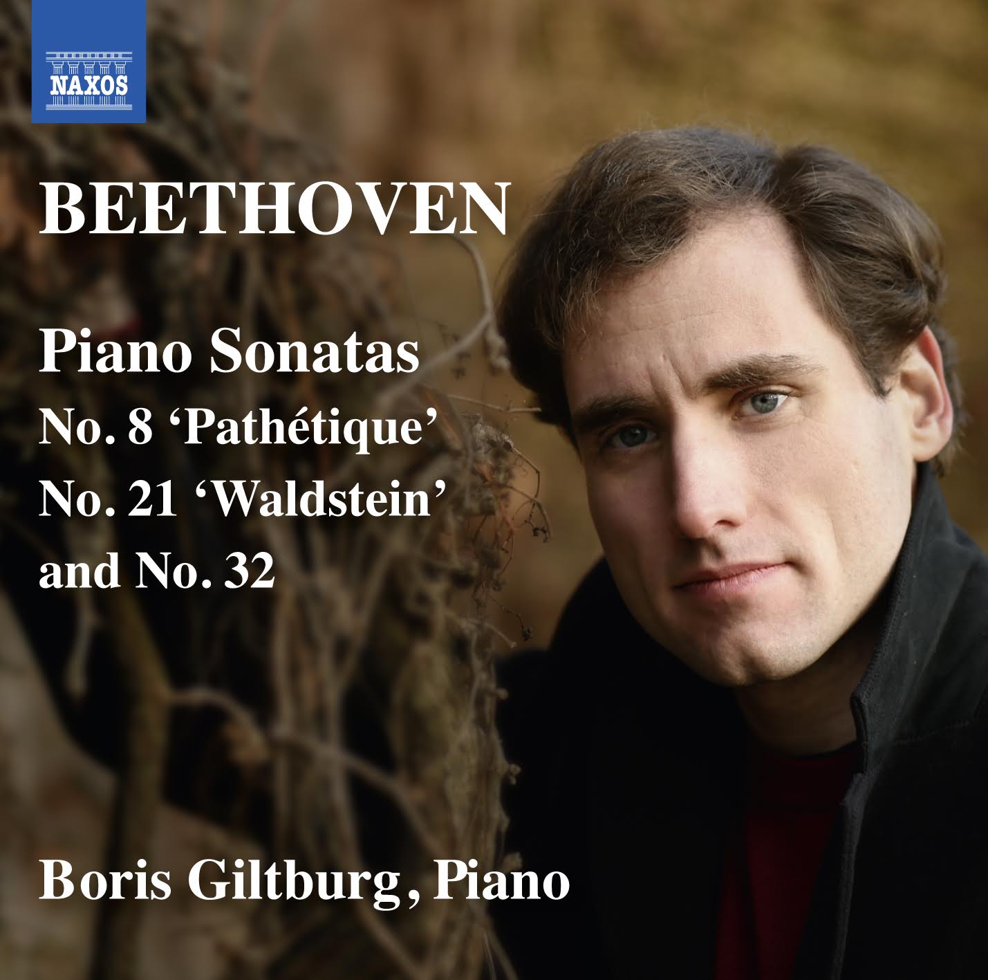 Beethoven Giltburg