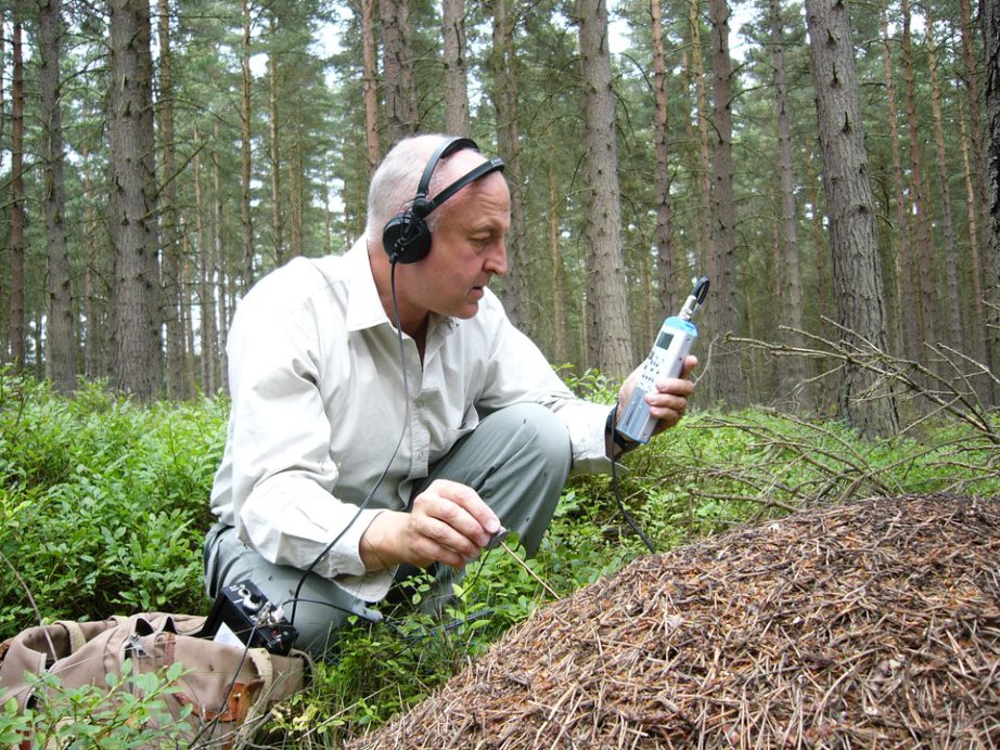 Chris Watson recording ants