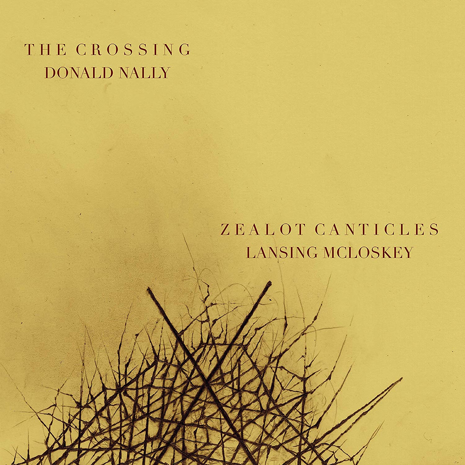 Zealot Chronicles
