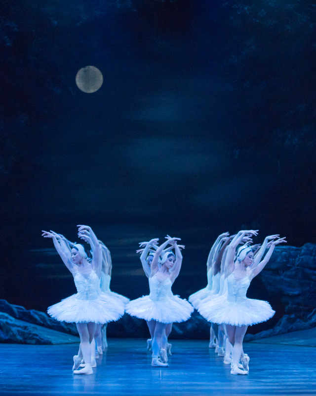 The dancers of ENB as swans