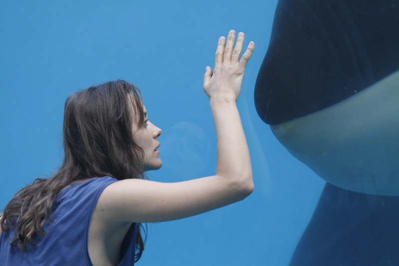 Rust and Bone