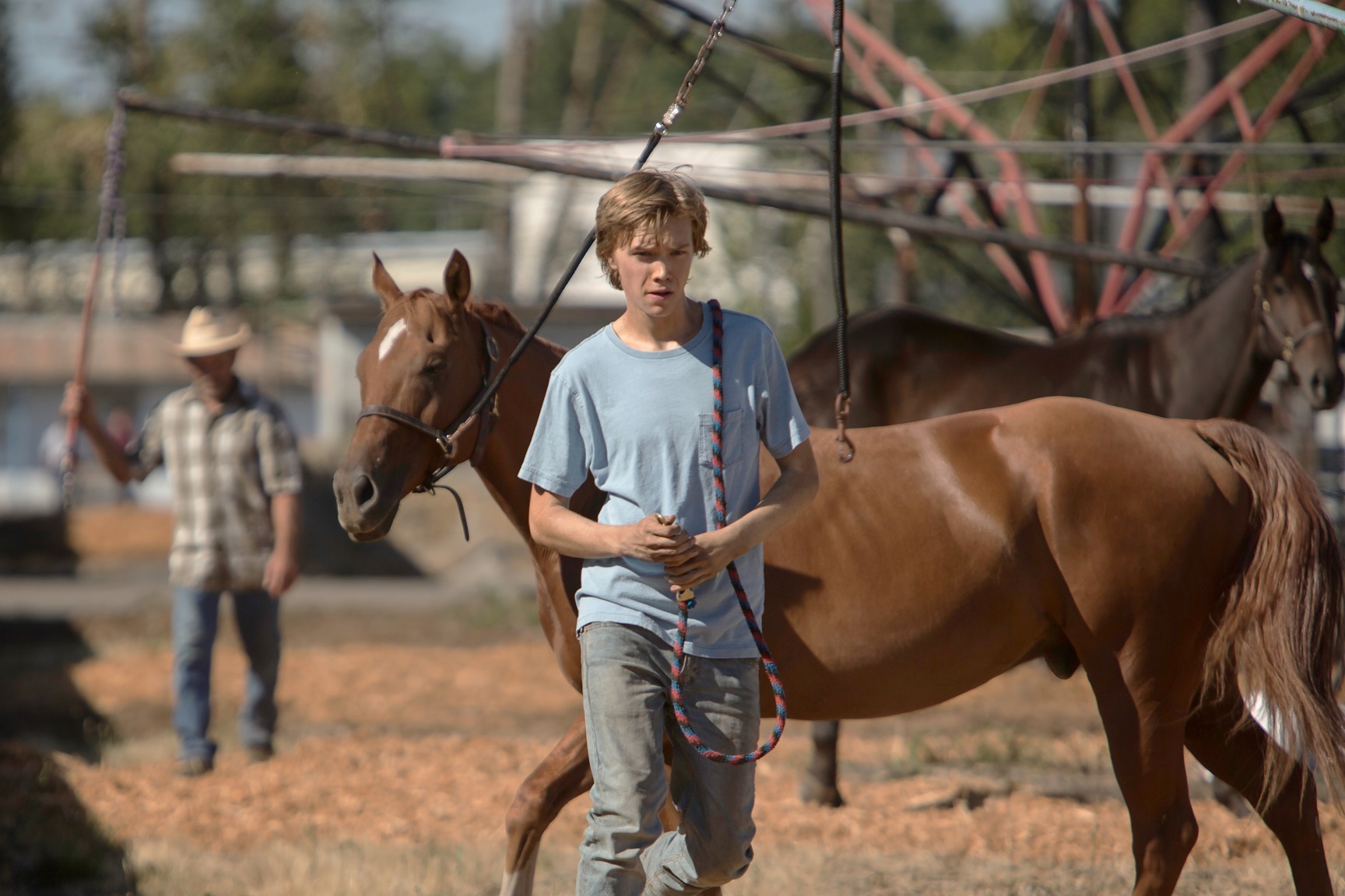 Charley (Charlie Plummer) in Lean On Pete