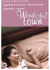 wonderful_town