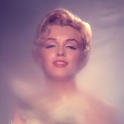 Monroe_by_Cardiff