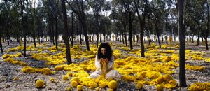 shirin-neshat1