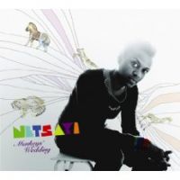 Netsayi