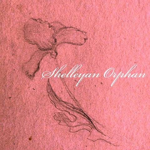 Shelleyan Orphan box set