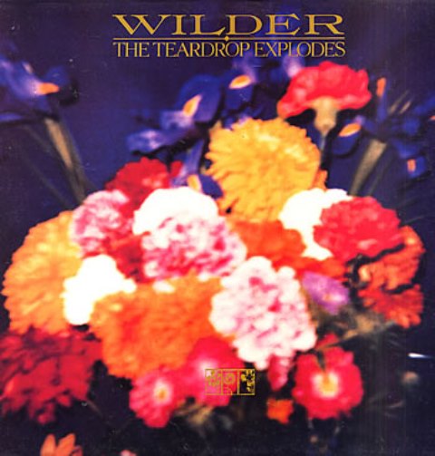 The Teardrop Explodes Wilder