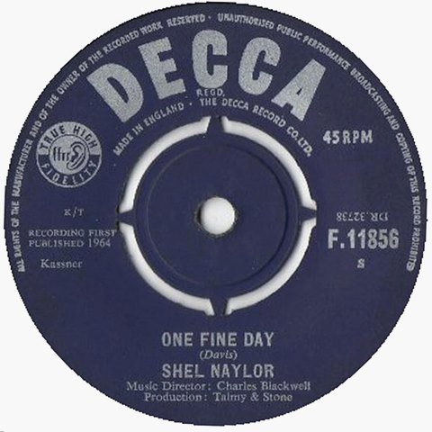 shel naylor one fine day