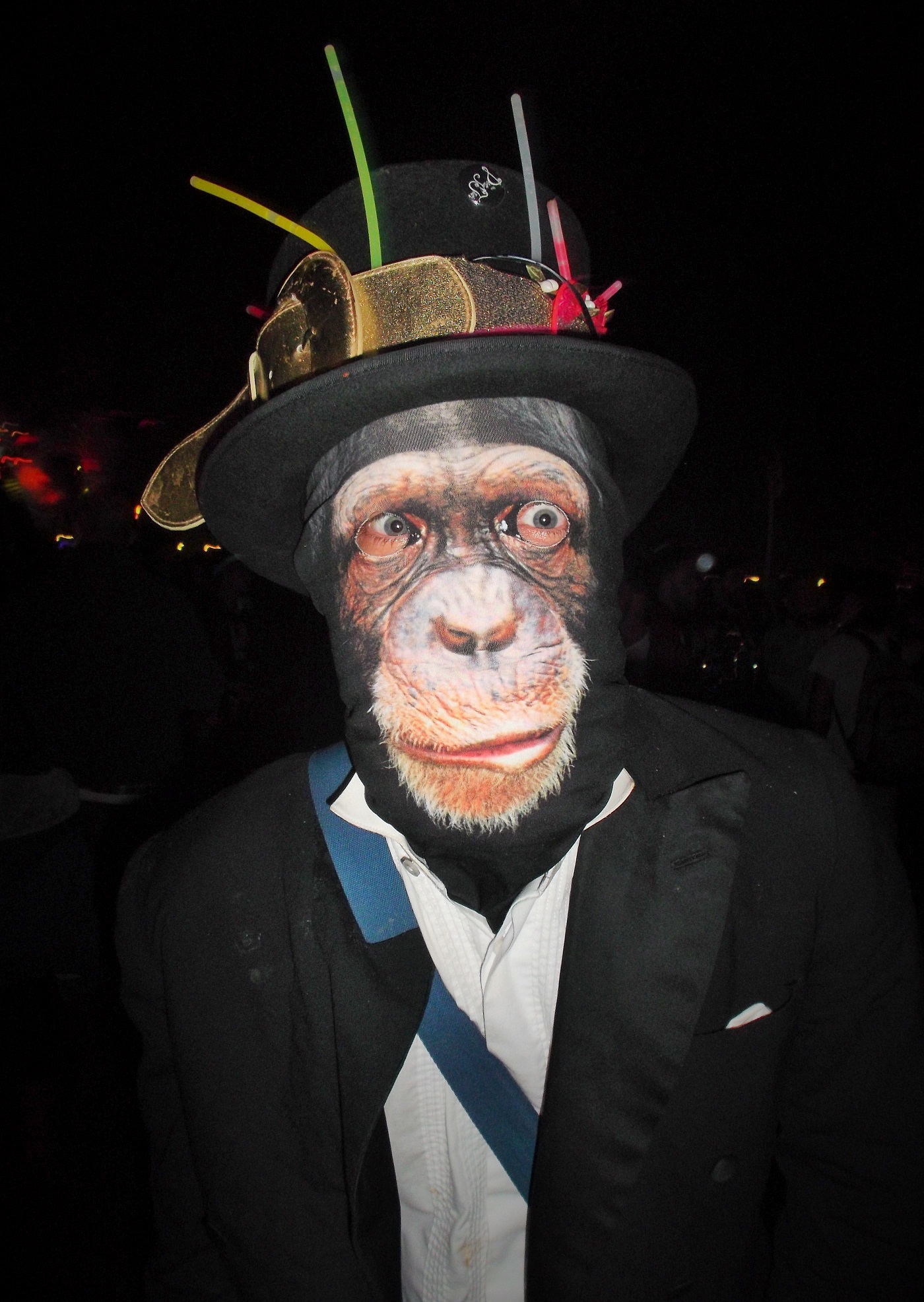 glasto chimp