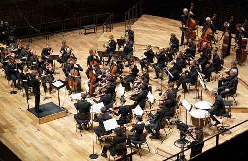 Insula orchestra