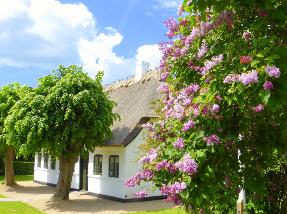 Nielsen house-museum outside Odense