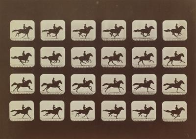 Muybridge_classic_-_Horses_trottingl_Custom