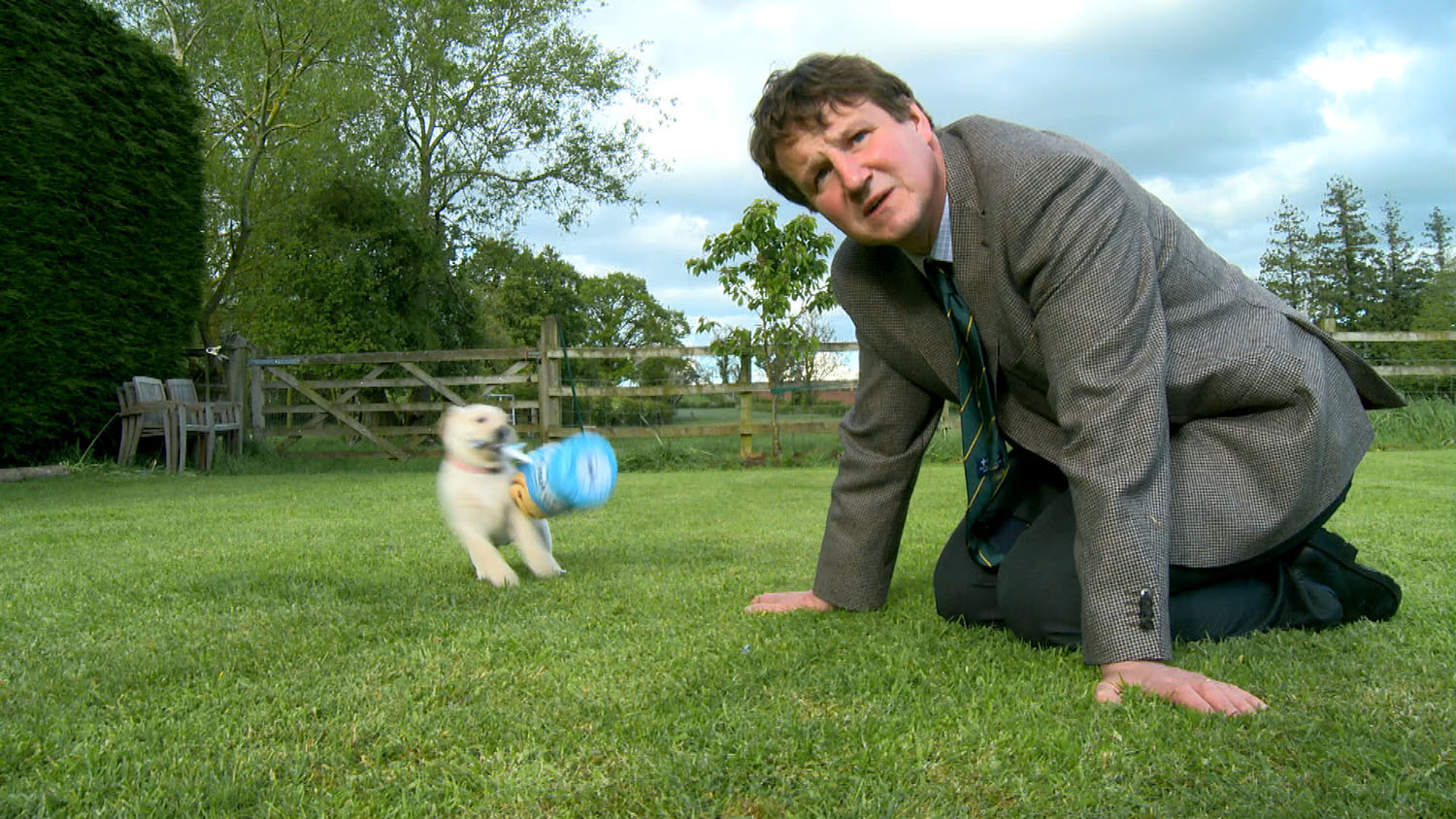 New Andrex puppy Gnasher with vet Richard on Star Paws