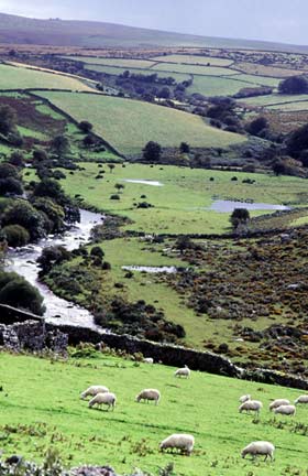 tad_walking-on-dartmoor