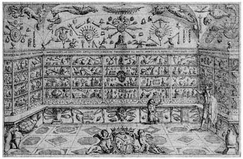 'Things' is a modern play on the traditional cabinet of curiosities