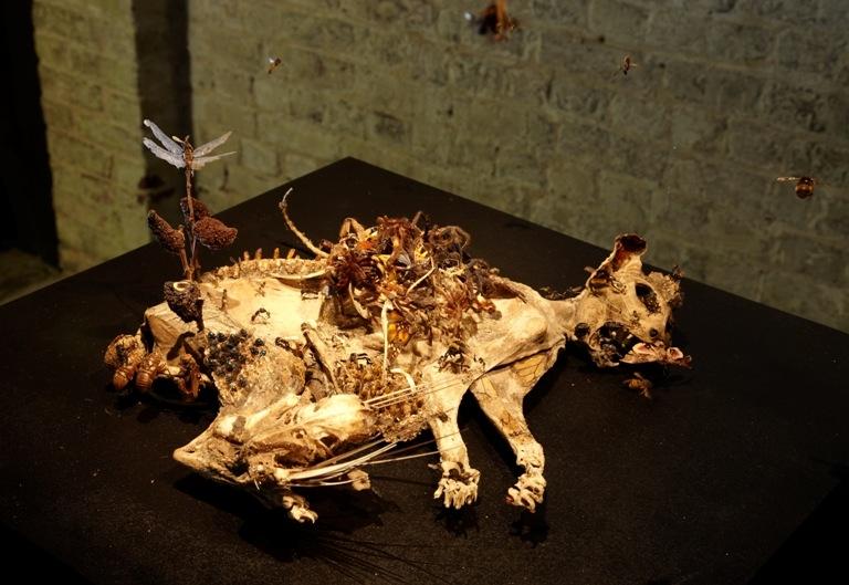 In Tessa Farmer’s world a mummified cat can become an entertainment complex for fairies and bugs