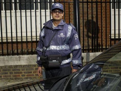 Confessions of a Traffic Warden: Durga from Nepal prepares to pounce