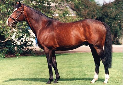 Sadler's Wells 1981-2011: Dancing to victory was in his blood 