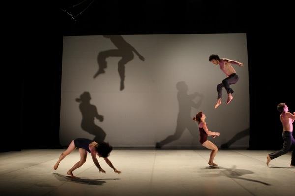 Brisbane acrobats Circa: 'These lunatics know exactly what they are doing'