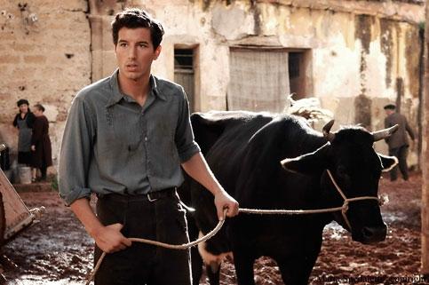 Milking the audience: Francesco Scianna in Baaria