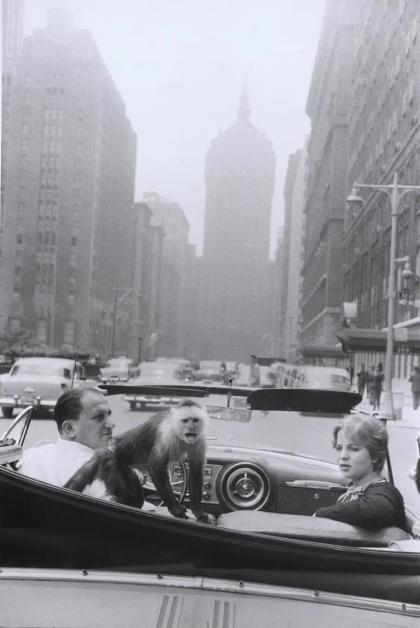 Garry_Winogrand_Park_Avenue_New_York_1959__The_Estate_of_Garry_Winogra